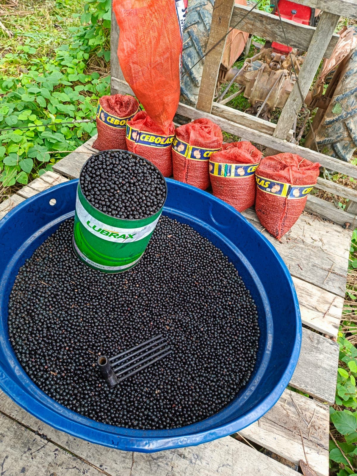 Açaí Polpa Nativa (Atacado)