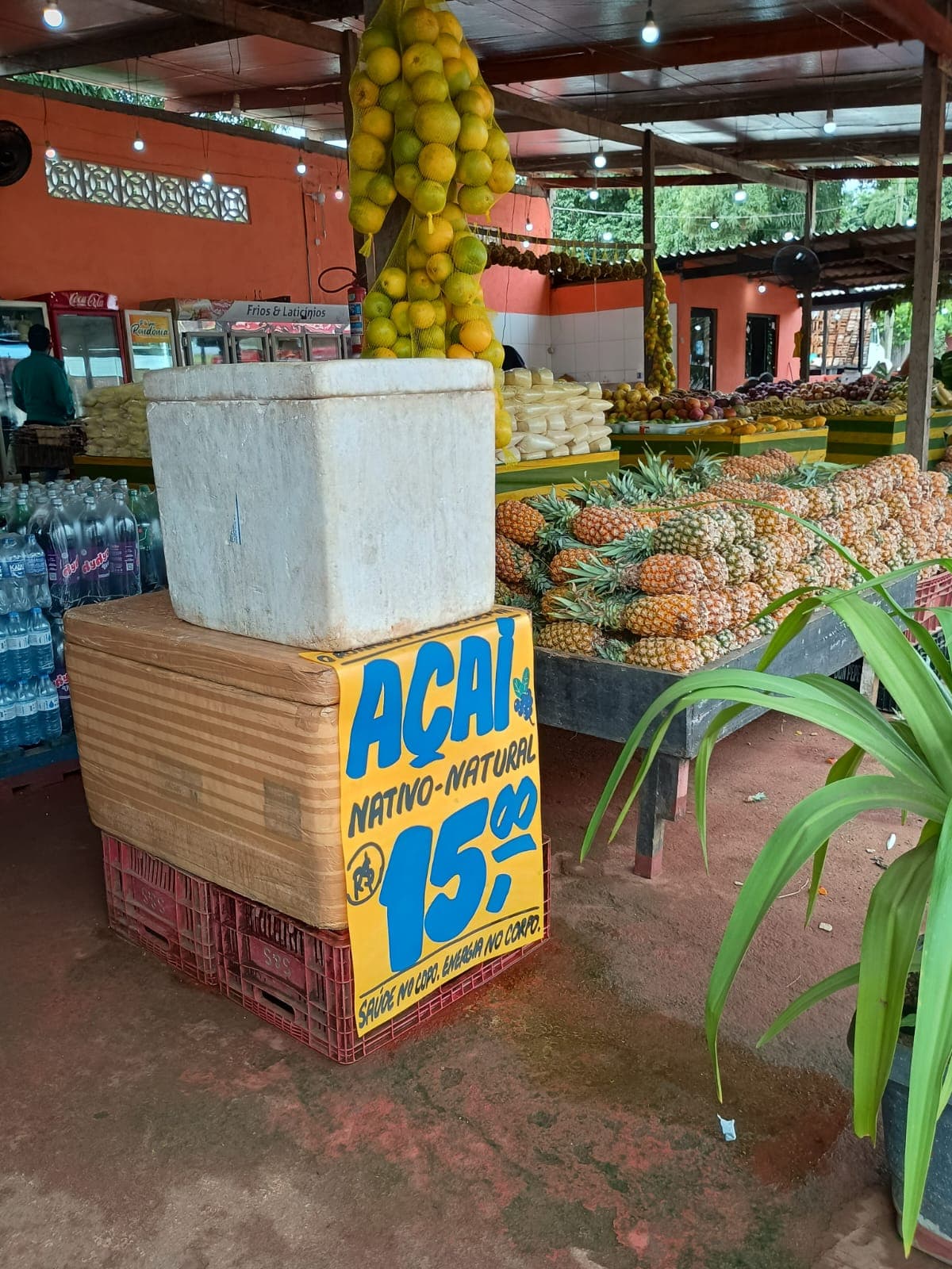 Açaí Vinho do Norte — Processo e Qualidade